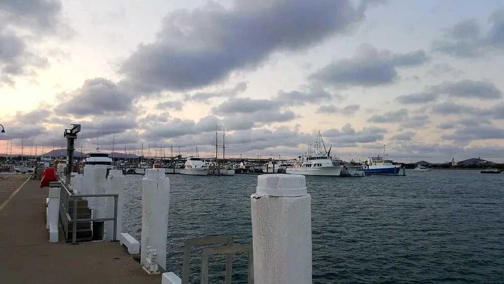 Gladstone Marina at dusk — the mainland departure point for the southern reef
