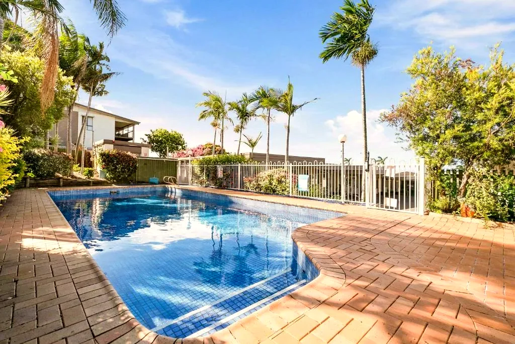 Saltwater pool and palm-lined courtyard at Gladstone CBD Motel