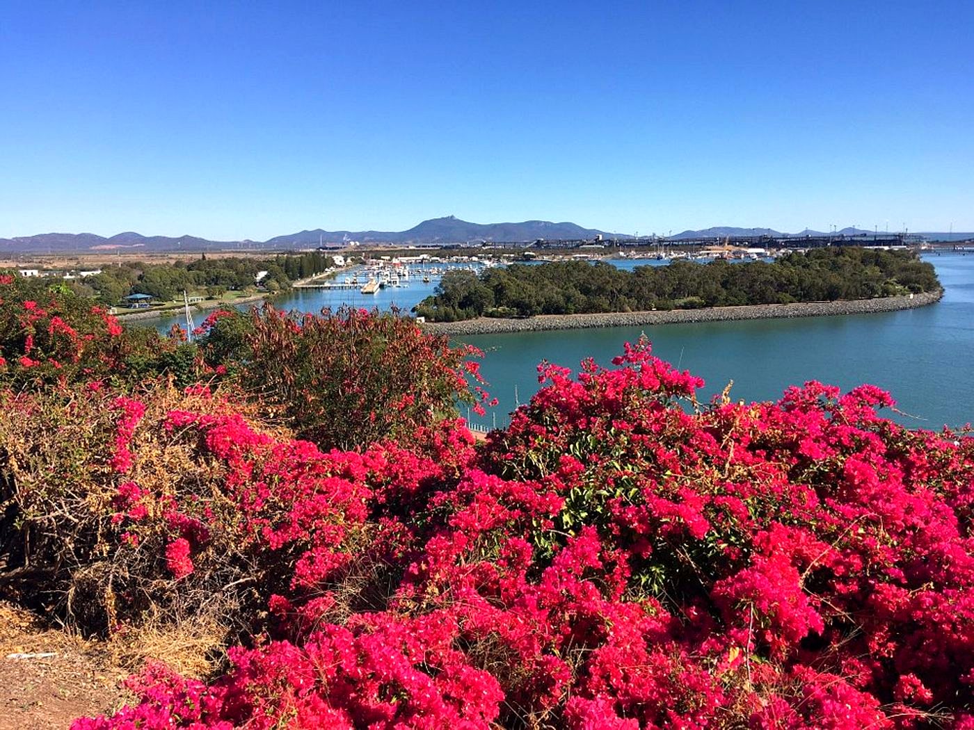 The view over Gladstone harbour and marina from Auckland Hill Lookout